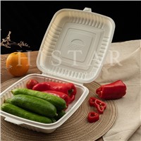 Disposable Biodegradable Food Containers Corn Starch Compostable Food Containers