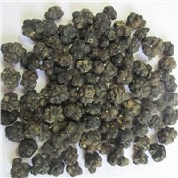 Exporters of Morinda Tinctoria Dried Fruits