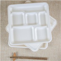 Disposable 6 Compartment Tray Environmentally Friendly Biodegradable Bagasse Tray