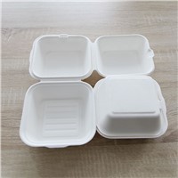 Disposable Biodegradable Meal Box Bagasse Hamburger Box