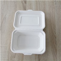 Environmentally Friendly Biodegradable 600ml Bagasse Lunch Box Disposable Takeaway Lunch Box