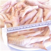 Top Quality Frozen Chicken Paws & Feet