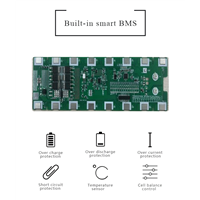 Custom 48v Lithium Battery Pack with Smart BMS