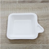 Disposable Biodegradable Food Tray Dessert Fruit Tray