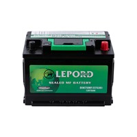 Hot Sale LEPORD Lead Acid Car Battery