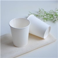 Disposable Paper Cup Single Wall White Disposable Beverage Cup