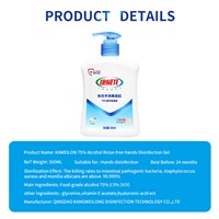 500ML 75% Alcohol Rinse-Free Instant Dry Hands Sanitizer &amp;amp;Disinfection Gel for Kids Hands Cleaning with CE Certificate