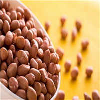 100% Organic Bold Peanuts from Gujarat, India