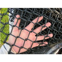 Chain Link Fence/Good Quality/Well Seller