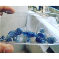 Blue Sapphire Available at Good Prices Contact +1(973)619-9218
