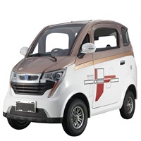 EV Car Made in China 1500W Electric Car for Adults