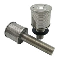 SS316 Wedge Wire Filter Nozzle Strainer