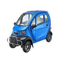 Small 4 Wheel Best Price China Small Cars Low Speed Electric Vehicle