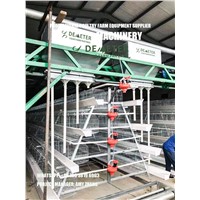 Battery Cage System Layer Chicken Cage Manufacturers &amp;amp; Supplier