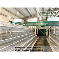 Automated Chicken Cage &amp;amp; Equipment Abuja