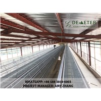 A-Type Layer Chicken Cage for Poultry Farming from China Factory