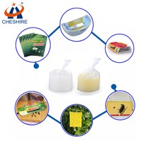 Non-Toxic Mouse Glue Strong Sticky Control Rat Fly Mosquito Trap Hot Melt Adhesive for Trap Paper Board