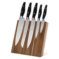 Germany Steel Professional Kitchen Knife Set with Magnet Wooden Block