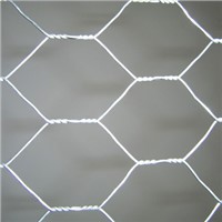 Hexagonal Network Wire Mesh Galvanized Mesh High Quality