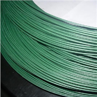 PVC Plastic Coated Wire Made in China High Quality Professional Manufacture