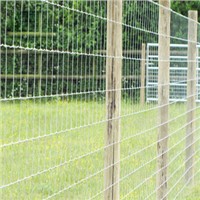 Mesh Cattle Galvanized Fixed Knot Wire Mesh Farm Fence High Quality