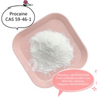 Factory Procaine Price CAS 59-46-1 In China Stock.