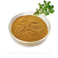 100% Pure Natural Bacopa Monnieri Extract Powder, the Main Benifits of Bacopa Extract