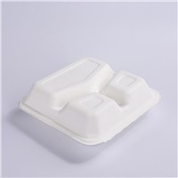 Disposable Eco Friendly Sugarcane Bagasse Pulp White Color HInged Container with 3 Compartment