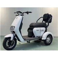 Electric Passenger Tricycle Cargo Trike with Three Seats New Three Wheel Adult Car Fashionable Leisure Vtt Electric Bike