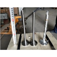 SHENGDONG W12V190.03.01 Intake Valve for Biogas Engines