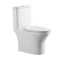 High Quality Dual Flush Rimless Washdown Ptrap One Piece Toilet for Bathroom Ceramic