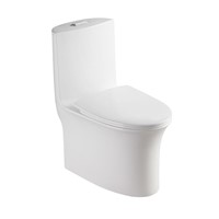 Hot Sanitary Wares Rimless Washdown One Piece Wc Ceramic Toilet for Bathroom