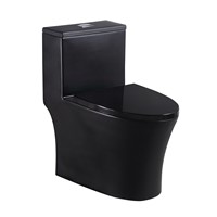 New Design Italian Style Color One Piece Toilet Bowl for Home Or Hotel Bathroom