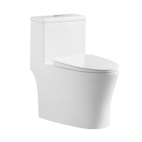 Modern Design Sanitary Ware Ceramic Remless Siphonic One Piece Wc Toilet Bowl with Ce Saso