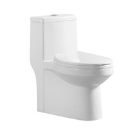 New Design Sanitary Ware Siphon One-Piece Toilet for India Toilet 220mm Rough-In
