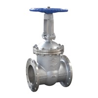 Mstnland STAINLESS STEEL FLANGED GATE VALVE