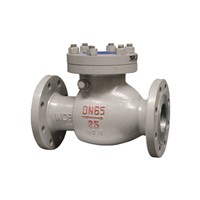 Mstnland CAST STEEL SWING CHECK VALVE from Mstnland