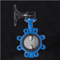 R502 Lug Type BLFY Cast Iron Valve