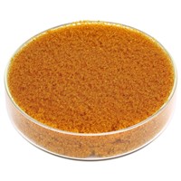 Aquarium Treatment Ion Exchange Resin