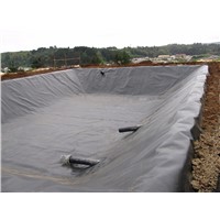 1 Mm HDPE Geomembrane for Secondary Containment Liner/ Fish Farm Waste Pond/ Mine Tailing Storage Lining