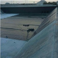 0.8 Mm HDPE Pond Liner Geomembrane with Black Color for Reservoir/ Fish Farm Lining