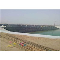 0.6 Mm Black Blue Color HDPE Geomembrane for Trout Turtle Pond Lining