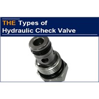 AAK Hydraulic Check Valve Replaces HAWE Hydraulic Valve in the United States