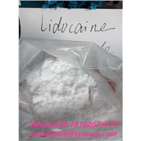 100% Customs Clearance Lidocaine/Lidocaina Powder with USP/GMP Standerd