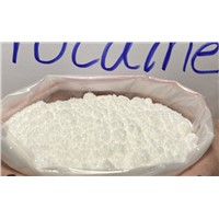 USP/GMP Standerd Coluracetam Powder, Low Price