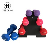 High Quality of Vinyl Dipping Dumbbells