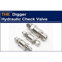 AAK Solved the Problem in 18 Days for the Hydraulic Check Valves