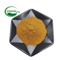 100% Natural Pure Turkesterone Powder CAS: 41451-87-0 Turkesterone Extract