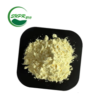 Natural Pure Quercetin Extract Powder Bulk for Sale Quercetin Powder Supplier