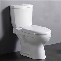 Bathroom Cheap Price Washdown Two Piece Toilet Bowl